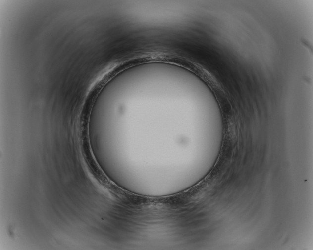 X0000097860730200803140856