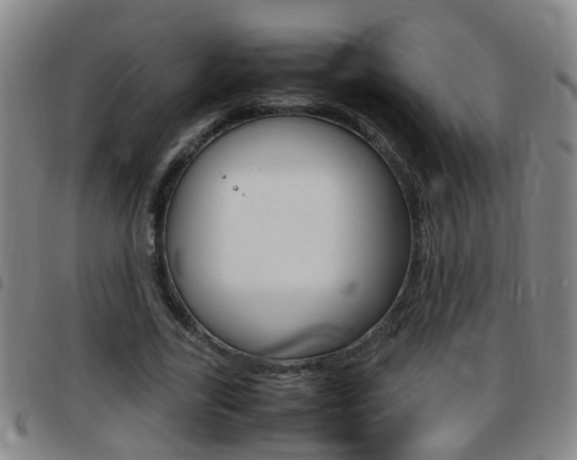 X0000097860731200803140856