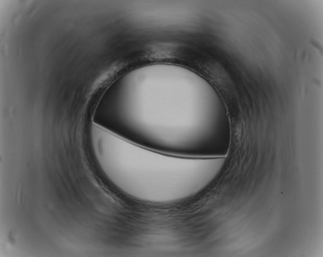 X0000097860732200803140856