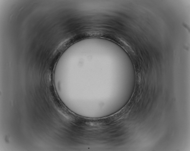X0000097860733200803140856