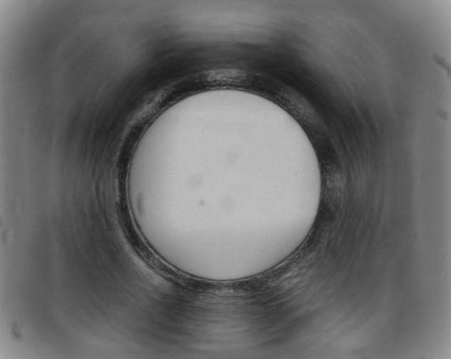 X0000097860734200803140856