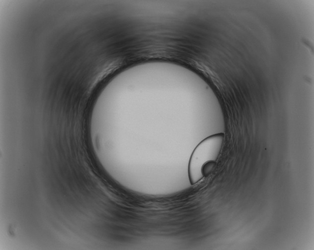X0000097860735200803140856