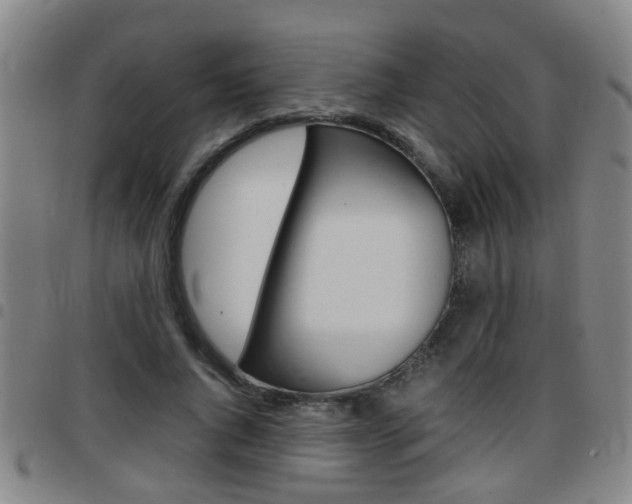 X0000097860736200803140856