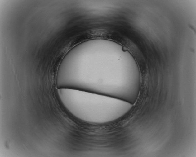 X0000097860737200803140856