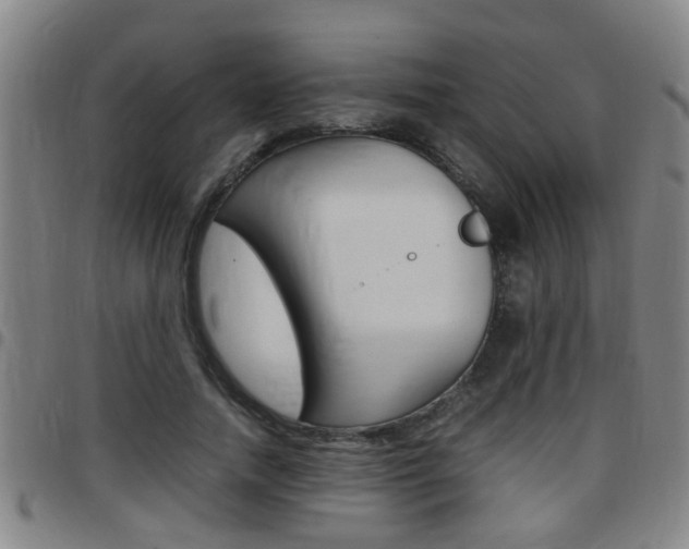 X0000097860738200803140856