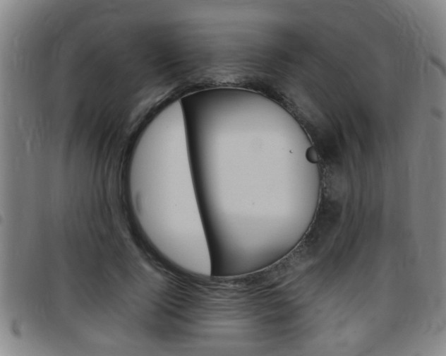 X0000097860740200803140856