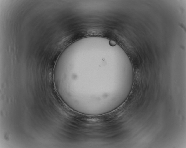 X0000097860741200803140856