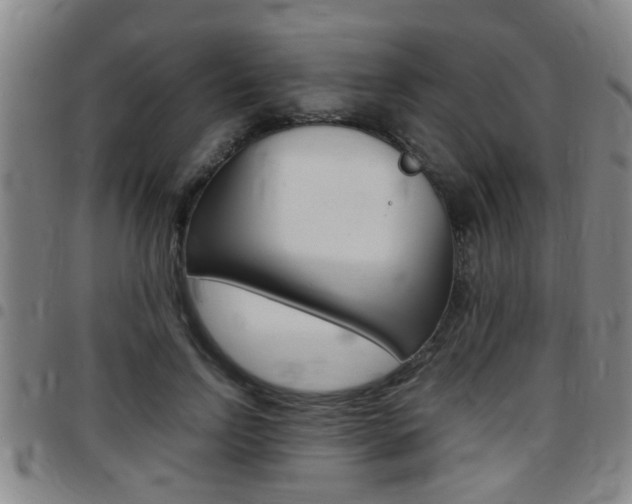 X0000097860742200803140856