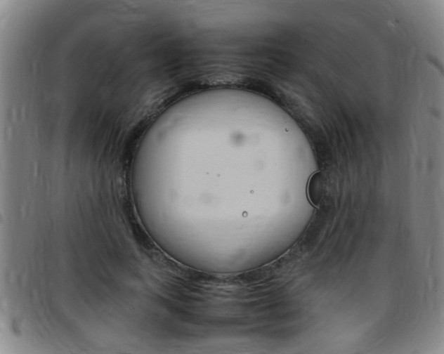 X0000097860743200803140856