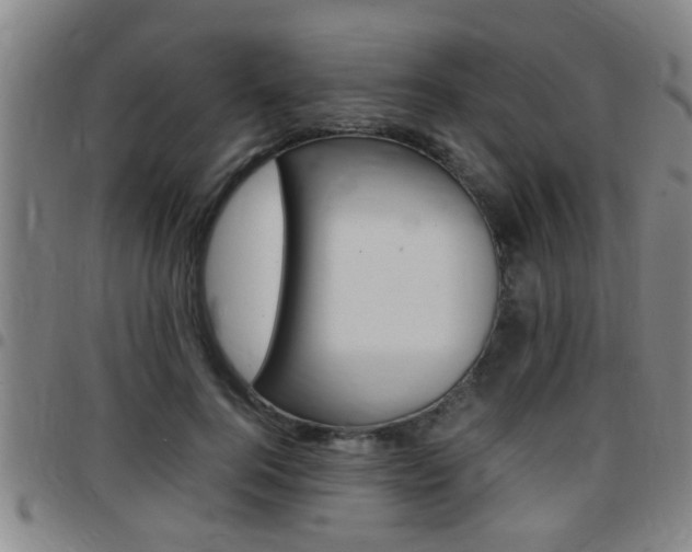X0000097860744200803140856