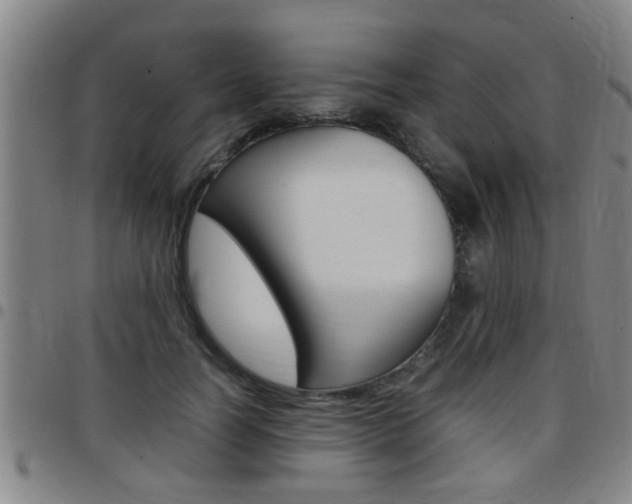 X0000097860746200803140856
