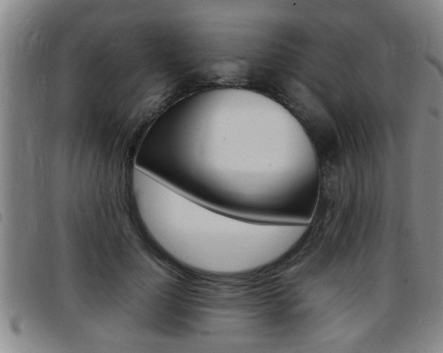 X0000097860748200803140856