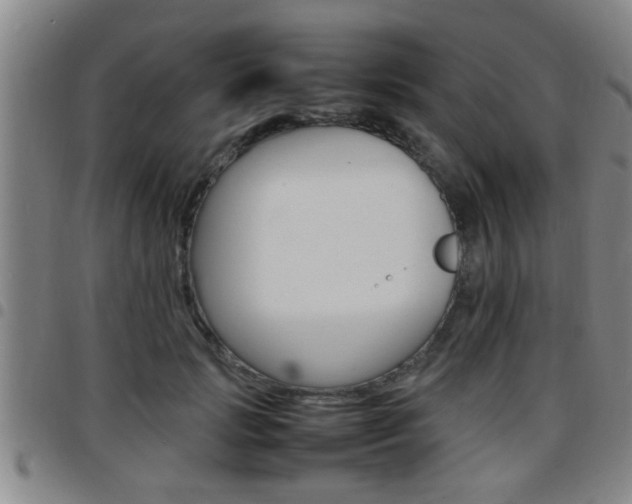 X0000097860749200803140856