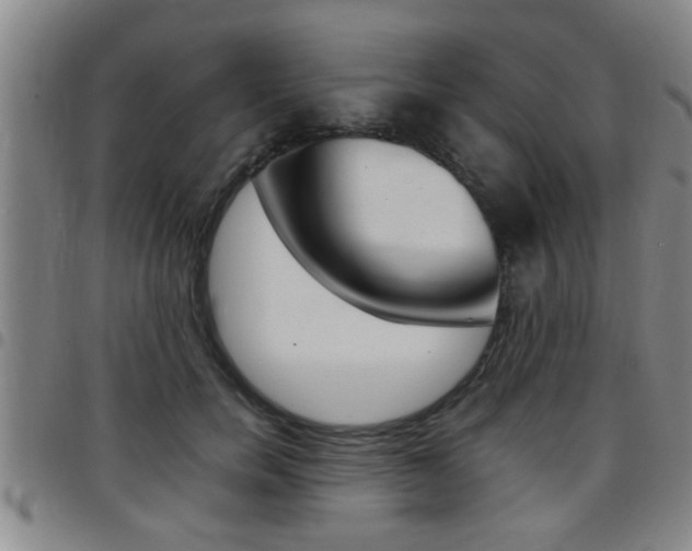 X0000097860750200803140856