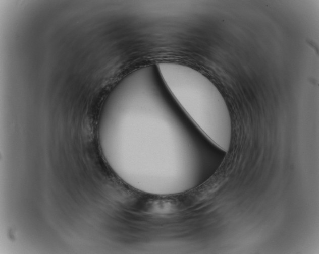 X0000097860751200803140856