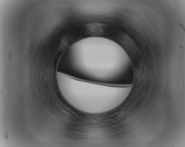 X0000097860752200803140856