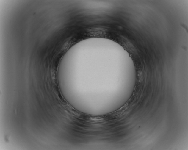 X0000097860753200803140856