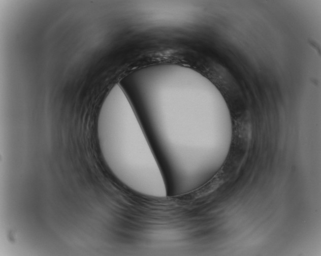 X0000097860754200803140856