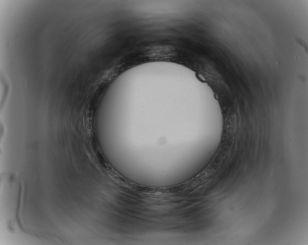 X0000097860755200803140856
