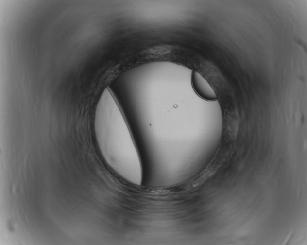 X0000097860758200803140856