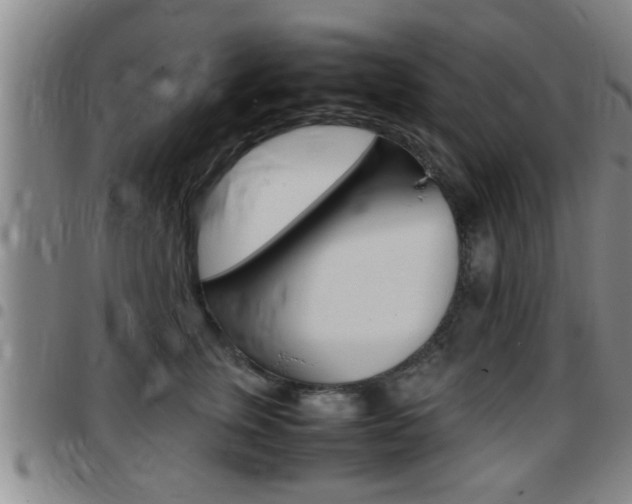 X0000097860759200803140856