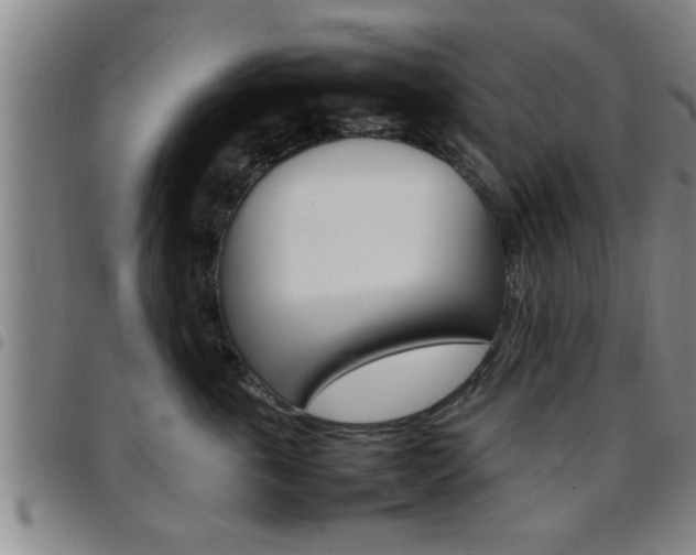 X0000097860763200803140856