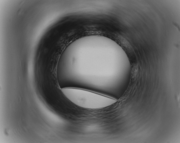 X0000097860764200803140856