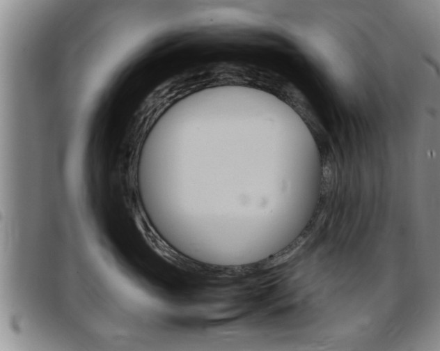 X0000097860765200803140856