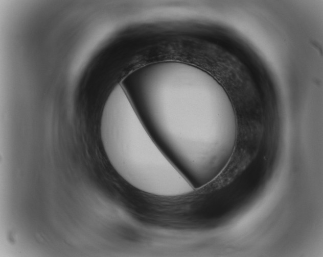 X0000097860766200803140856