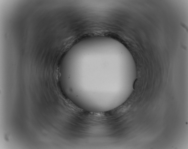 X0000097860768200803140856