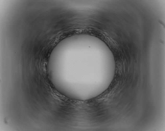 X0000097860770200803140855