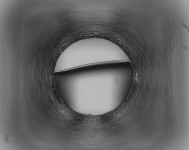 X0000097860771200803140855