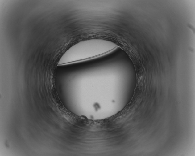 X0000097860772200803140855