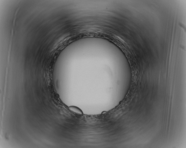 X0000097860774200803140855