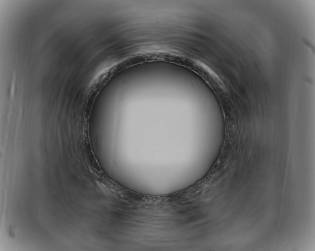 X0000097860775200803140855