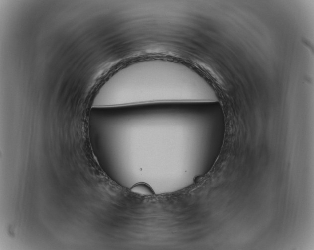 X0000097860776200803140855