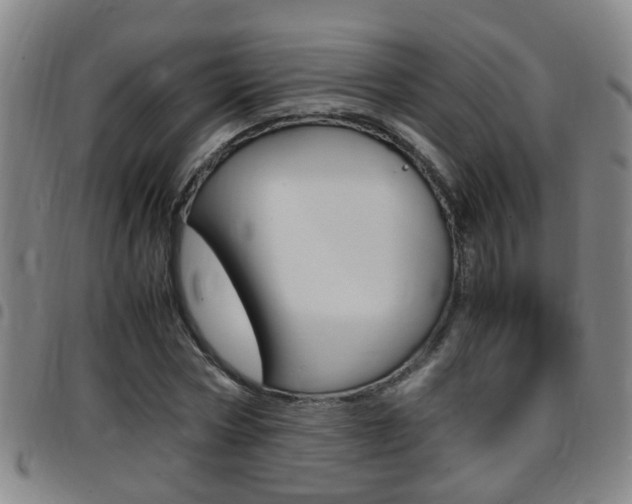 X0000097860778200803140855