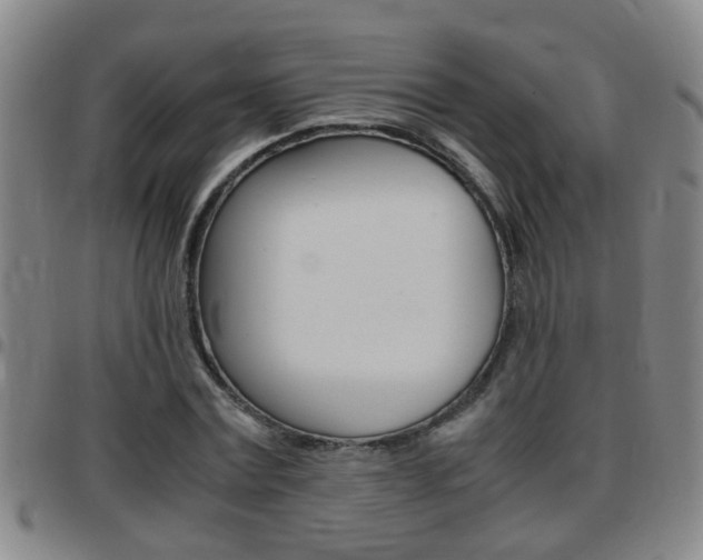 X0000097860779200803140855