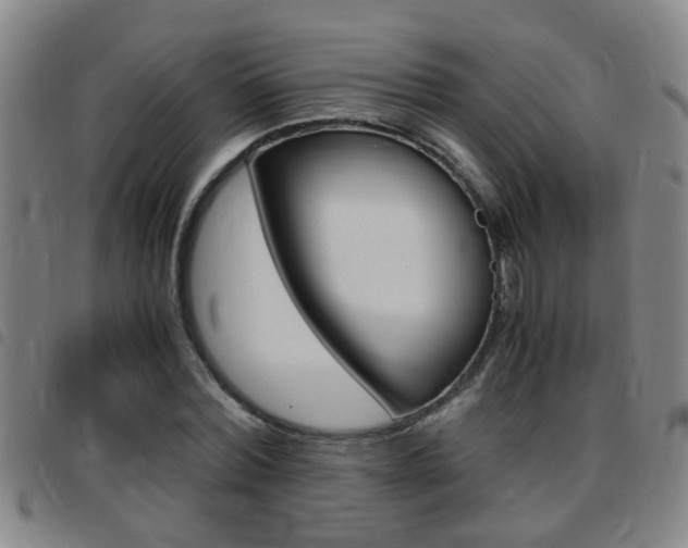 X0000097860780200803140855