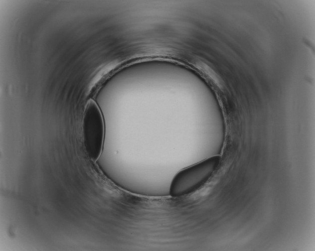 X0000097860781200803140855