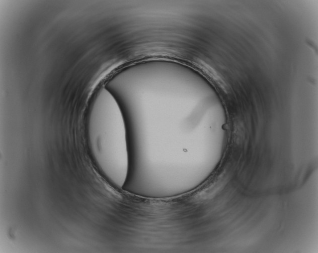 X0000097860782200803140855