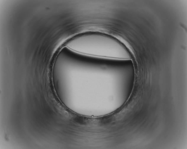 X0000097860783200803140855