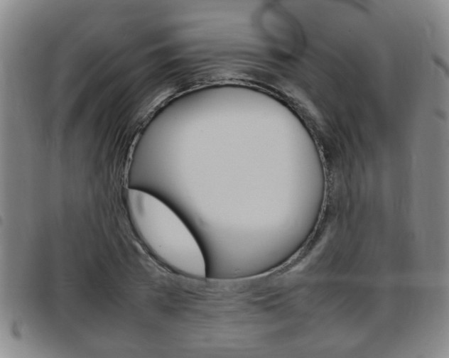 X0000097860785200803140855