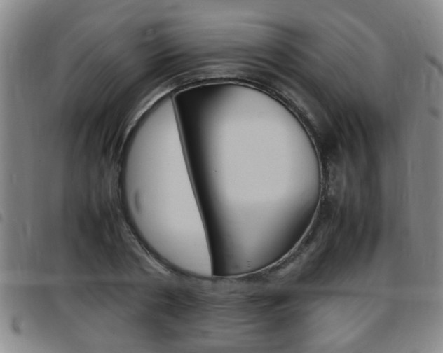 X0000097860786200803140855