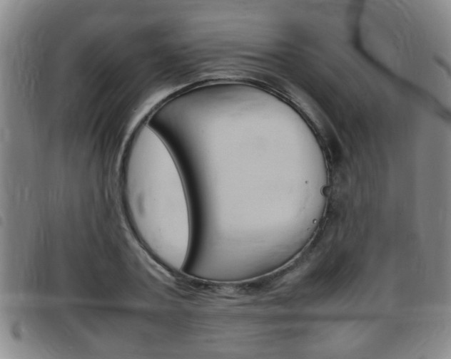 X0000097860787200803140855