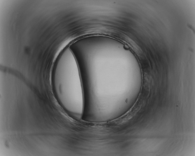 X0000097860788200803140855