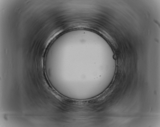 X0000097860790200803140855
