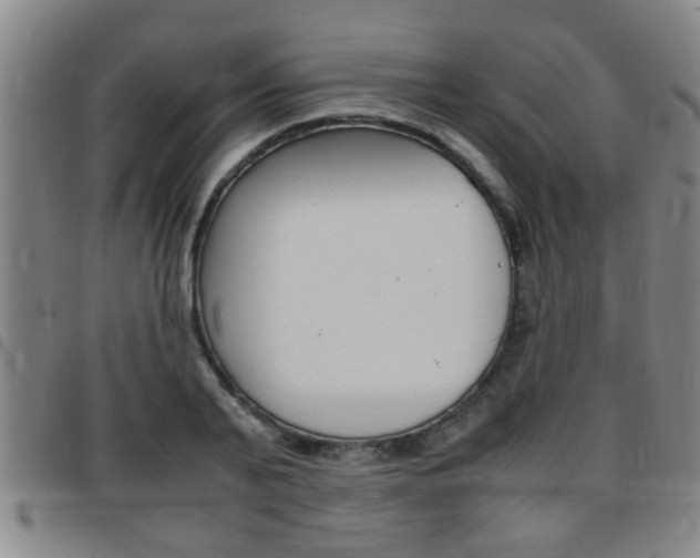 X0000097860791200803140855