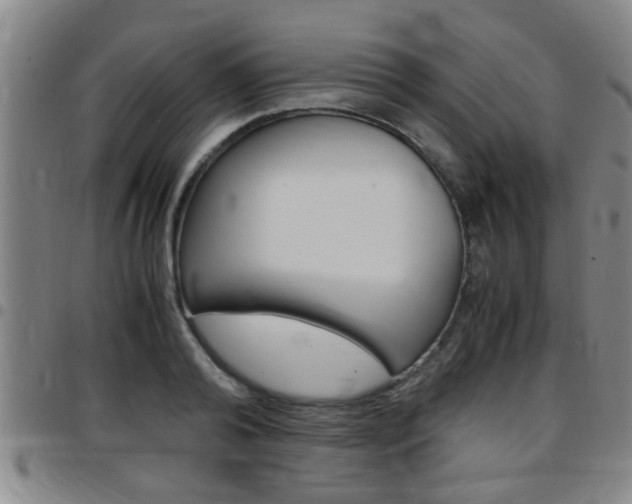 X0000097860792200803140855