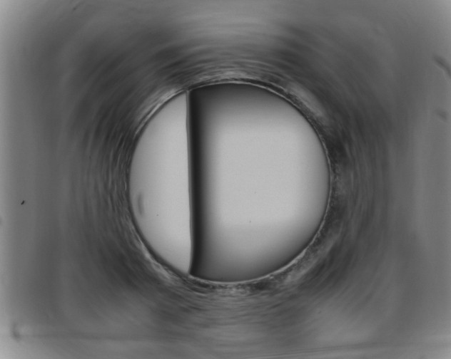 X0000097860793200803140855